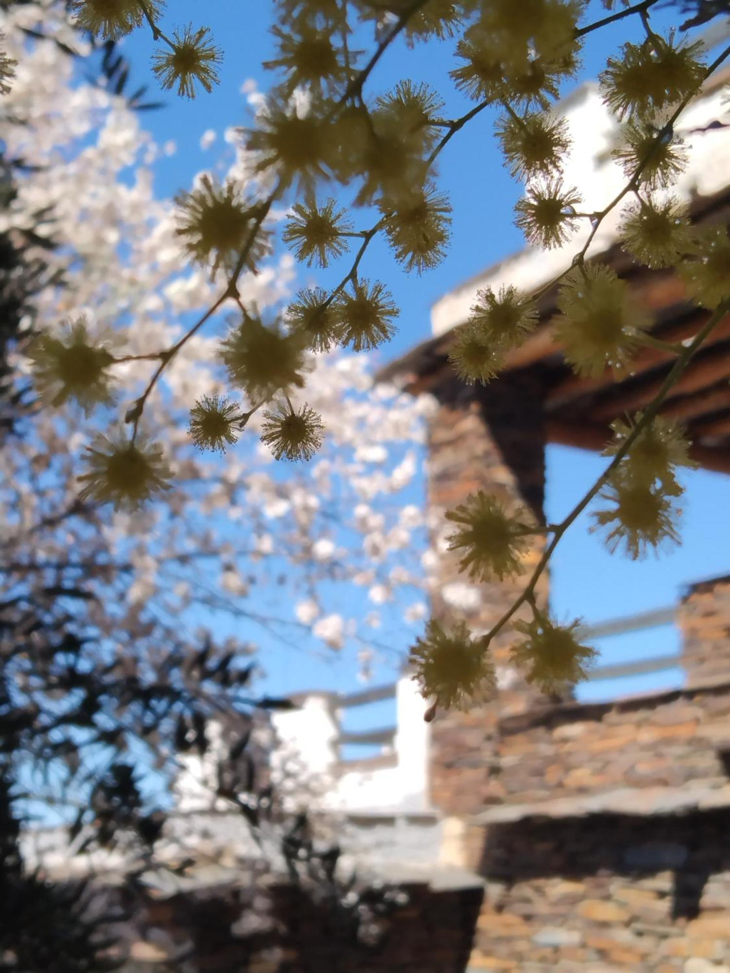 La Posada Del Altozano Lanteira Екстериор снимка