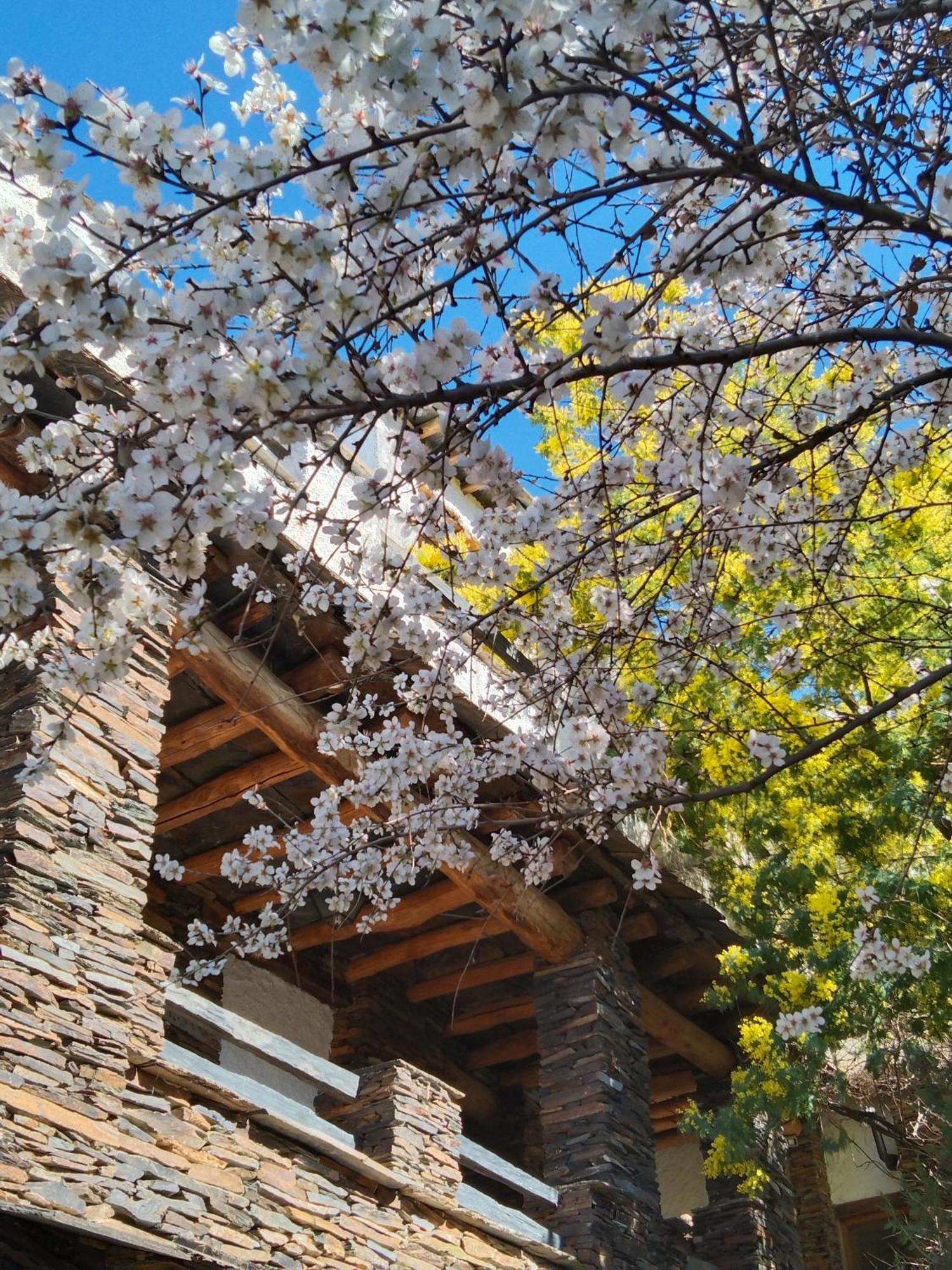 La Posada Del Altozano Lanteira Екстериор снимка