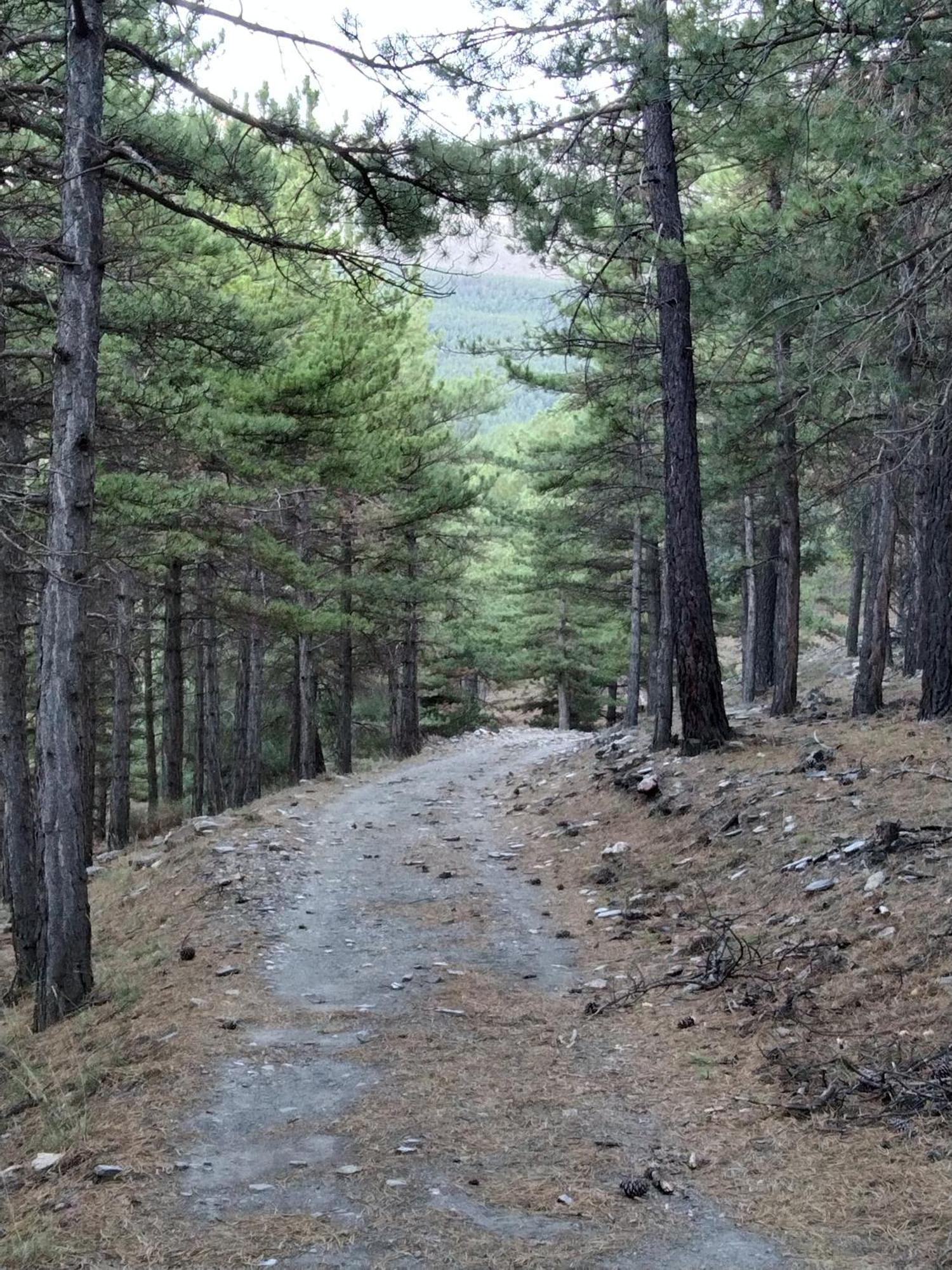 La Posada Del Altozano Lanteira Екстериор снимка